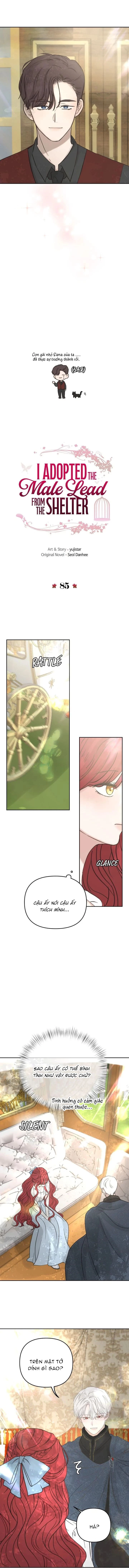 Tôi nhận nuôi nam chính từ nhà tù Chapter 85 - 2