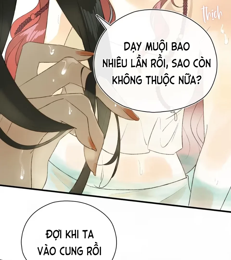 Ngọc Chỉ Tình Thiêu Chapter 1 - 8