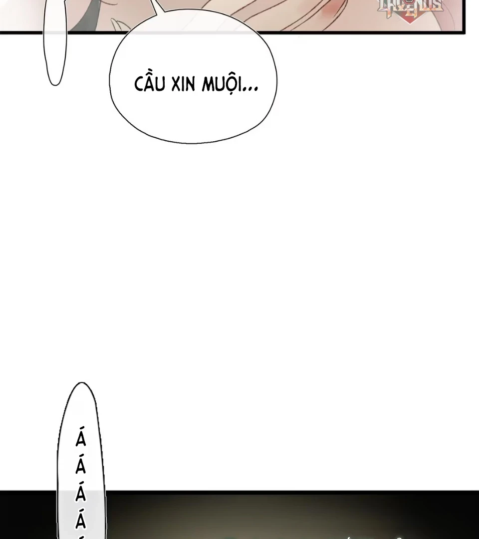 Ngọc Chỉ Tình Thiêu Chapter 2 - 13