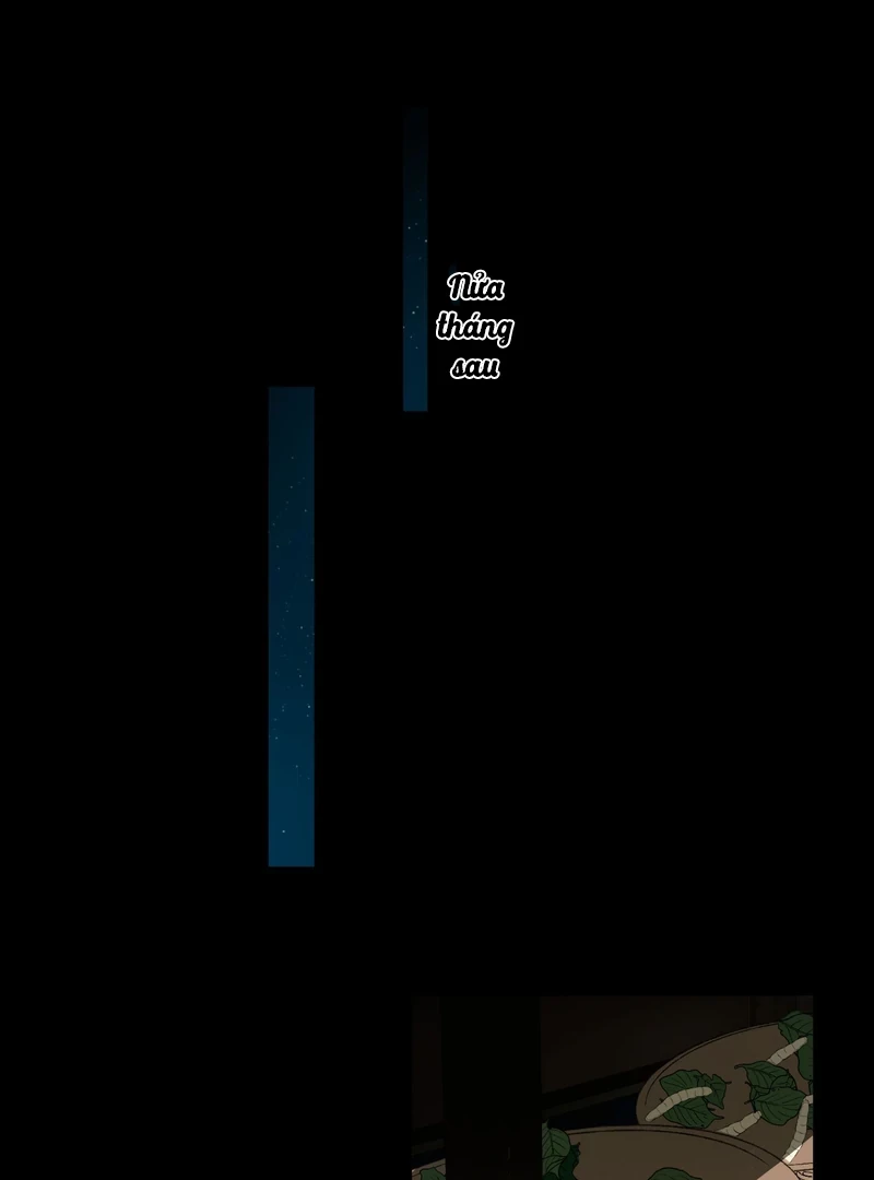 Ngọc Chỉ Tình Thiêu Chapter 5 - 1