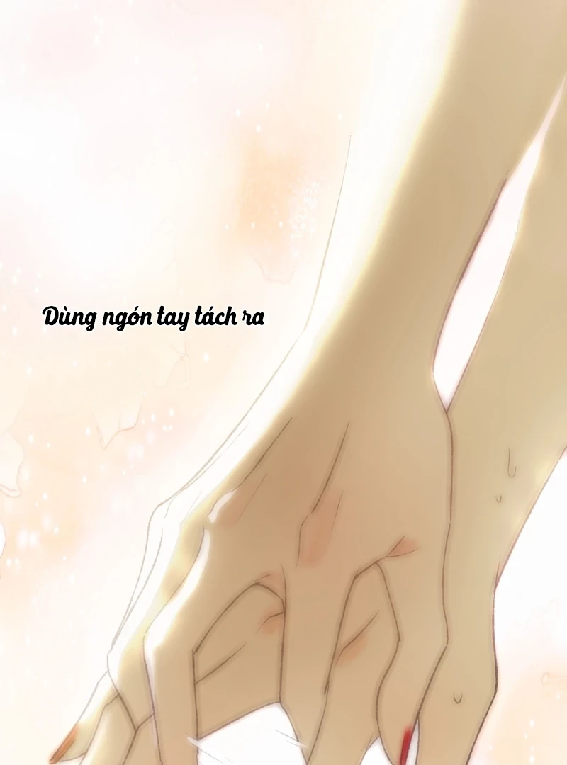 Ngọc Chỉ Tình Thiêu Chapter 5 - 63