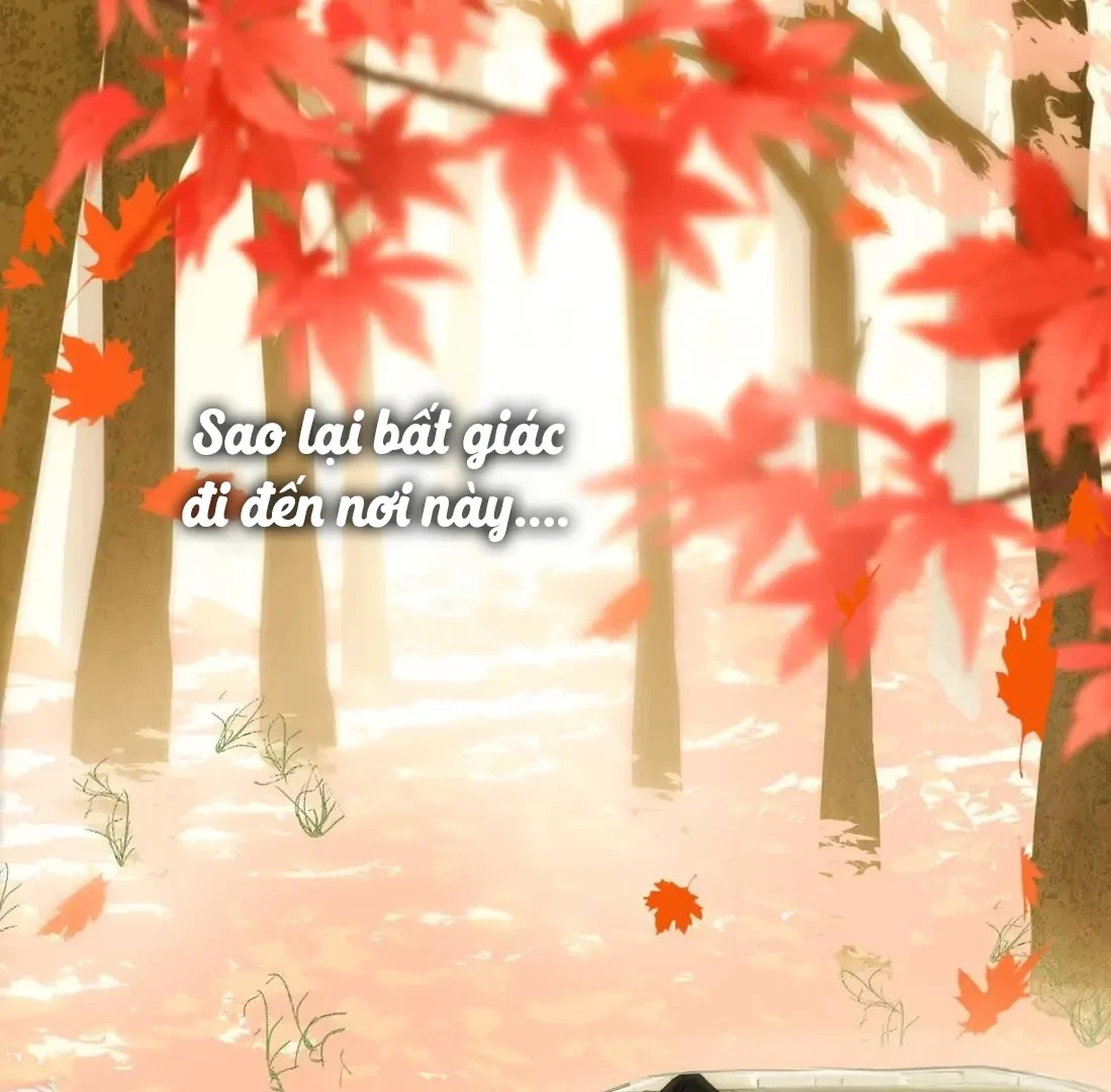 Ngọc Chỉ Tình Thiêu Chapter 8 - 6