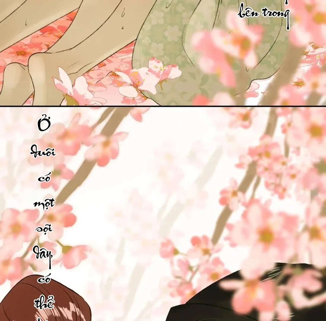 Ngọc Chỉ Tình Thiêu Chapter 8 - 27