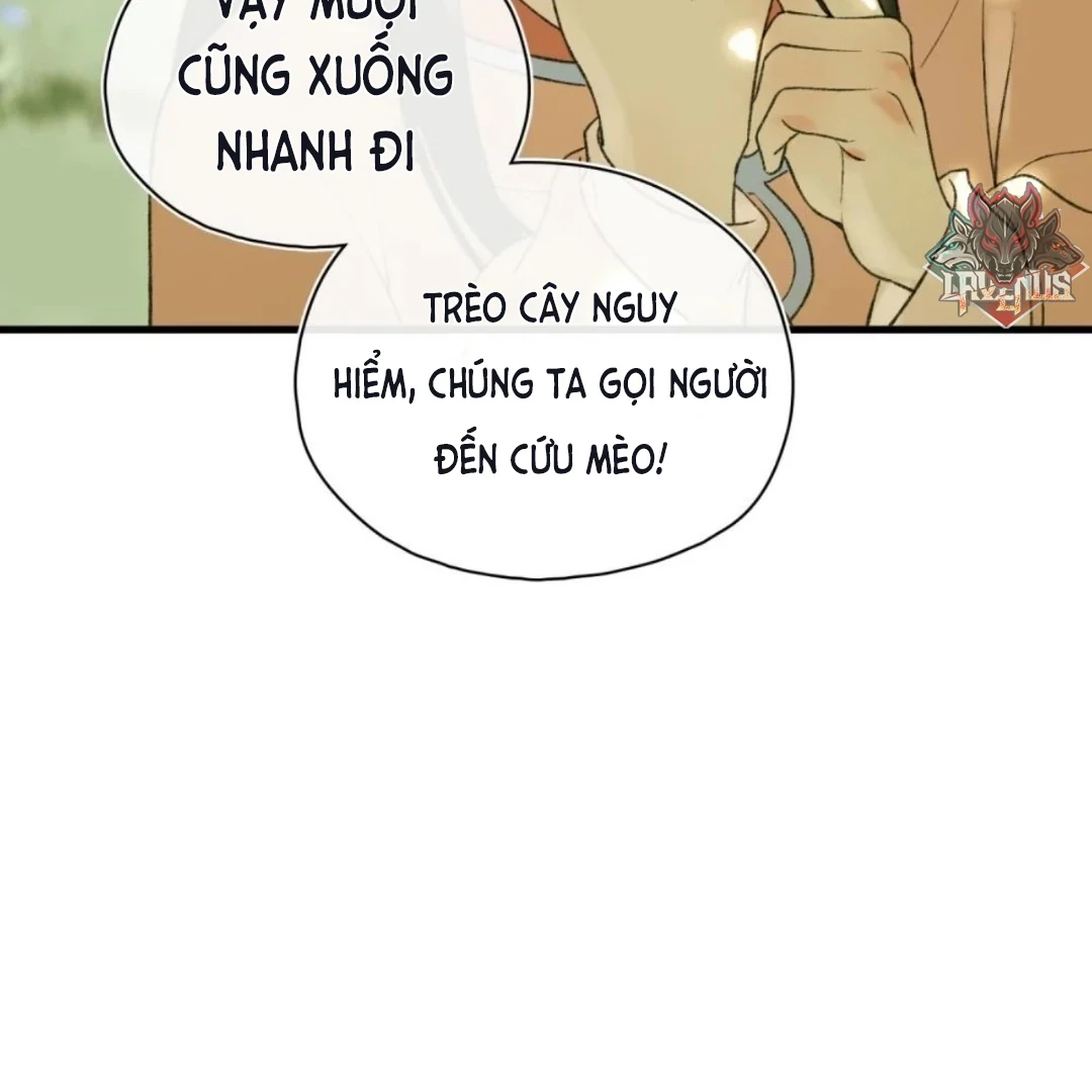 Ngọc Chỉ Tình Thiêu Chapter 12 - 53