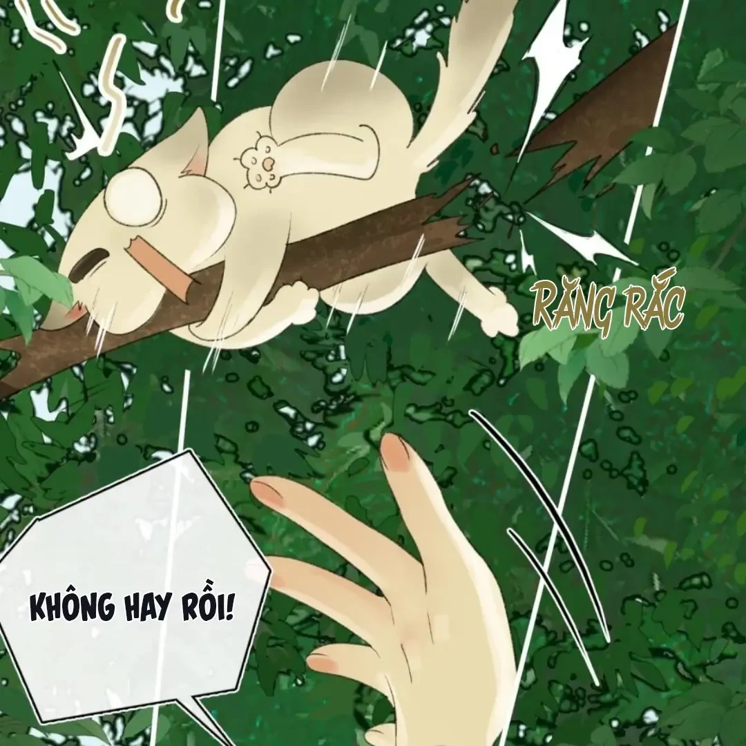 Ngọc Chỉ Tình Thiêu Chapter 12 - 72