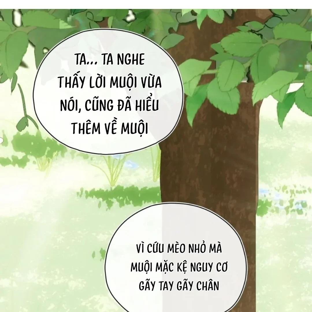 Ngọc Chỉ Tình Thiêu Chapter 13 - 17