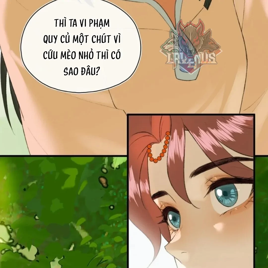 Ngọc Chỉ Tình Thiêu Chapter 13 - 20