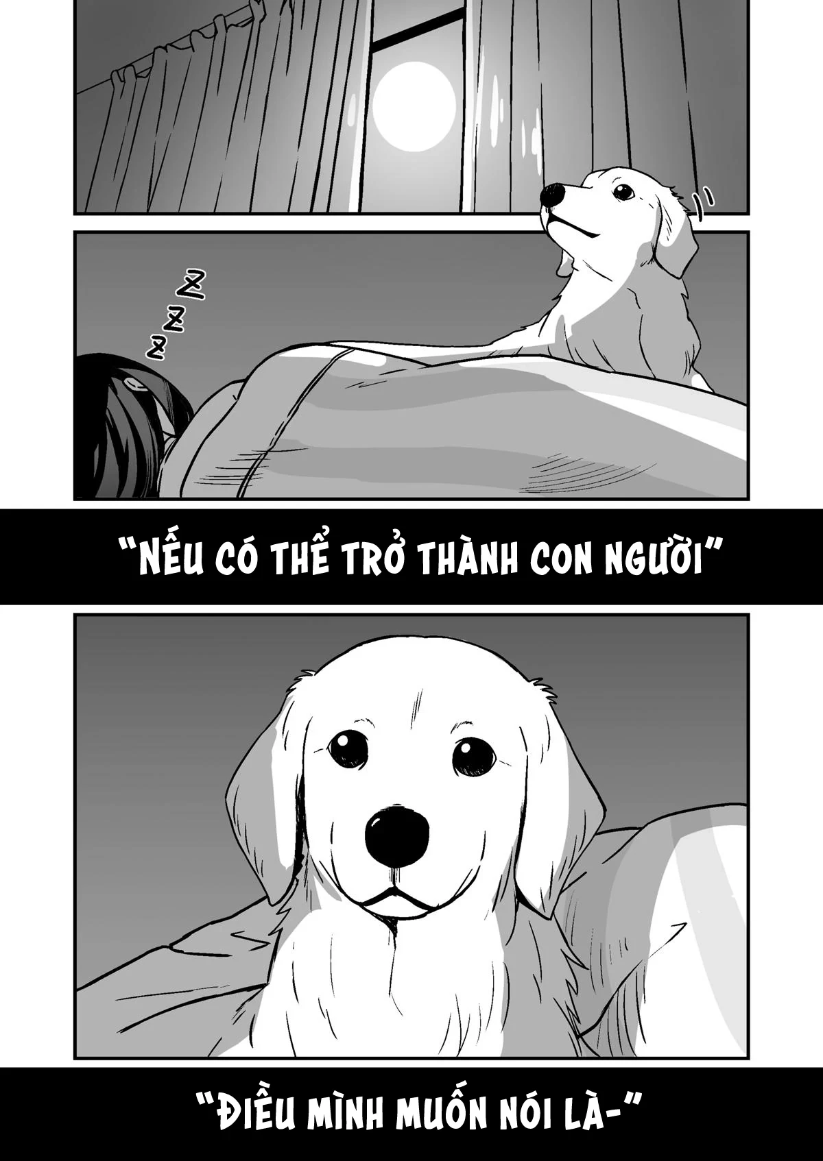 Chuyện Về Cô Cún Cưng Hóa Thành Người Chapter 1 - 2