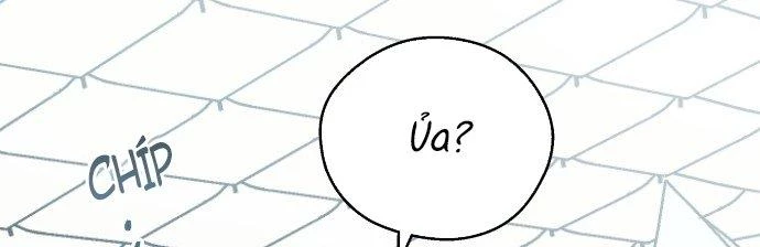 Đừng Ngây Thơ Nữa, Hãy Phục Tùng Chapter 9 - 16