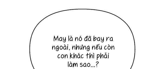 Đừng Ngây Thơ Nữa, Hãy Phục Tùng Chapter 22 - 33