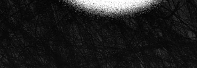 Đừng Ngây Thơ Nữa, Hãy Phục Tùng Chapter 55 - 161