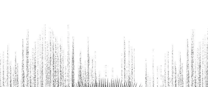 Đừng Ngây Thơ Nữa, Hãy Phục Tùng Chapter 57 - 77