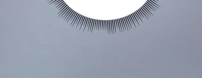 Đừng Ngây Thơ Nữa, Hãy Phục Tùng Chapter 61 - 333