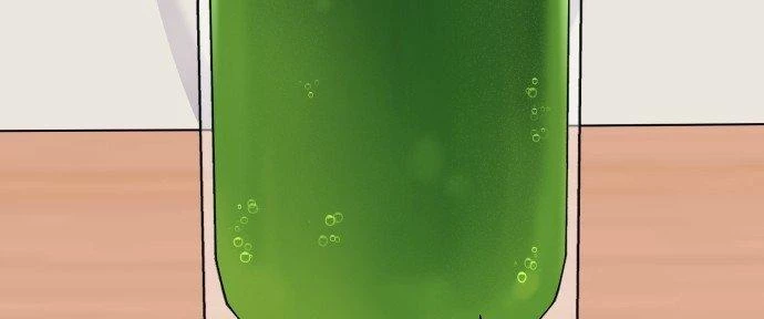 Đừng Ngây Thơ Nữa, Hãy Phục Tùng Chapter 62 - 121