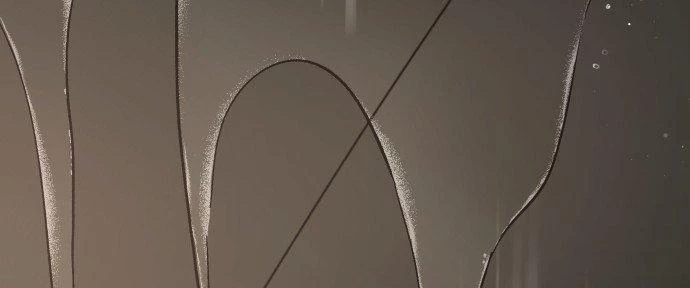 Đừng Ngây Thơ Nữa, Hãy Phục Tùng Chapter 63 - 136