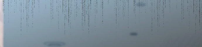 Đừng Ngây Thơ Nữa, Hãy Phục Tùng Chapter 66 - 394