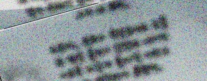 Đừng Ngây Thơ Nữa, Hãy Phục Tùng Chapter 70 - 153