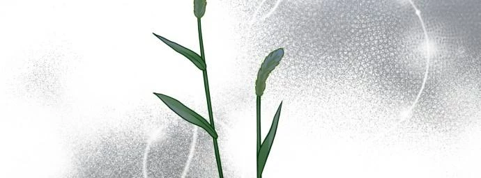 Đừng Ngây Thơ Nữa, Hãy Phục Tùng Chapter 71 - 307