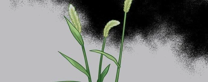 Đừng Ngây Thơ Nữa, Hãy Phục Tùng Chapter 72 - 227