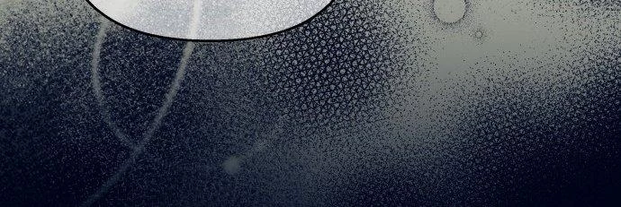 Đừng Ngây Thơ Nữa, Hãy Phục Tùng Chapter 80 - 392