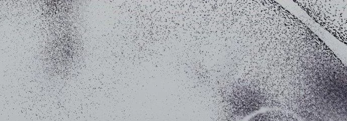 Đừng Ngây Thơ Nữa, Hãy Phục Tùng Chapter 89 - 393