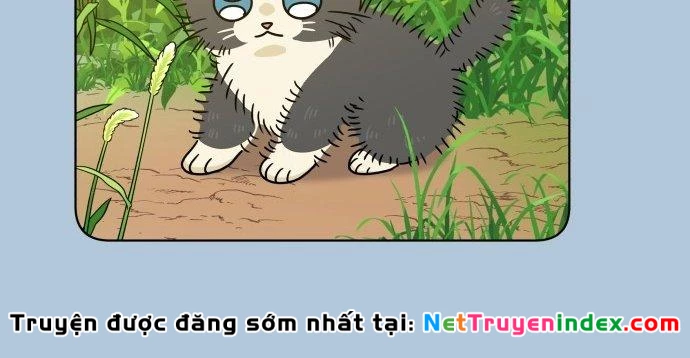 Đừng Ngây Thơ Nữa, Hãy Phục Tùng Chapter 100 - 371