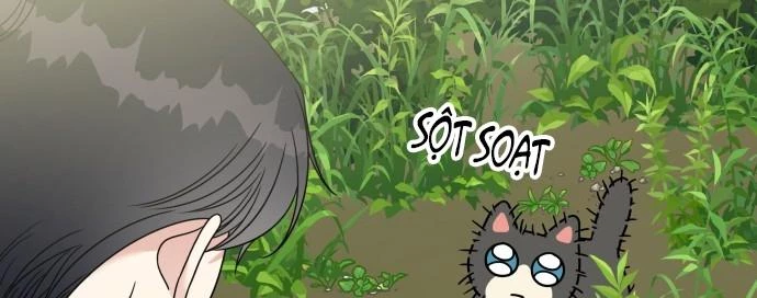 Đừng Ngây Thơ Nữa, Hãy Phục Tùng Chapter 101 - 193