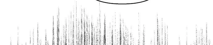 Đừng Ngây Thơ Nữa, Hãy Phục Tùng Chapter 109 - 443