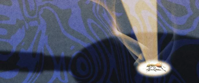 Đừng Ngây Thơ Nữa, Hãy Phục Tùng Chapter 123 - 89