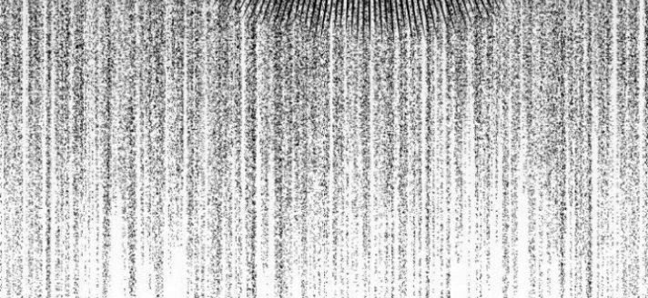 Đừng Ngây Thơ Nữa, Hãy Phục Tùng Chapter 126 - 307