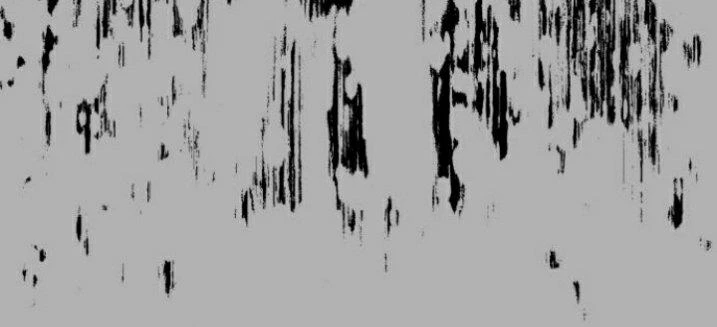 Đừng Ngây Thơ Nữa, Hãy Phục Tùng Chapter 129 - 264