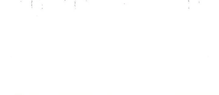 Đừng Ngây Thơ Nữa, Hãy Phục Tùng Chapter 133 - 321