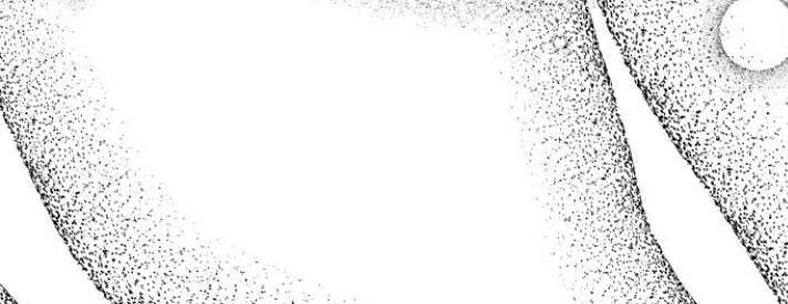 Đừng Ngây Thơ Nữa, Hãy Phục Tùng Chapter 142 - 247