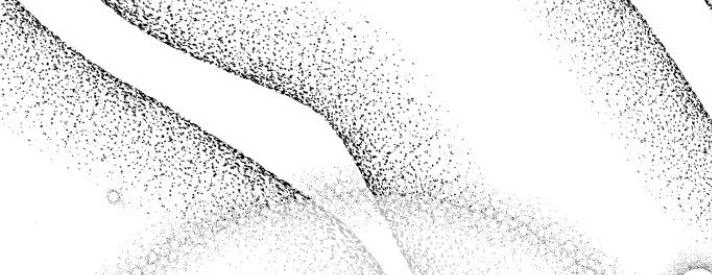 Đừng Ngây Thơ Nữa, Hãy Phục Tùng Chapter 142 - 248