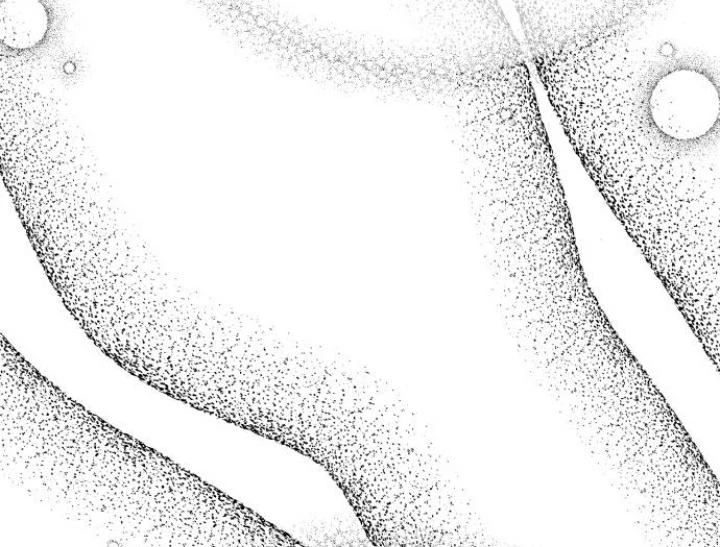 Đừng Ngây Thơ Nữa, Hãy Phục Tùng Chapter 143 - 5