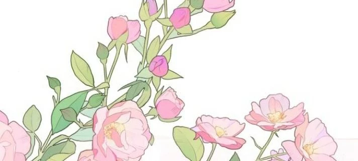 Đừng Ngây Thơ Nữa, Hãy Phục Tùng Chapter 145 - 316