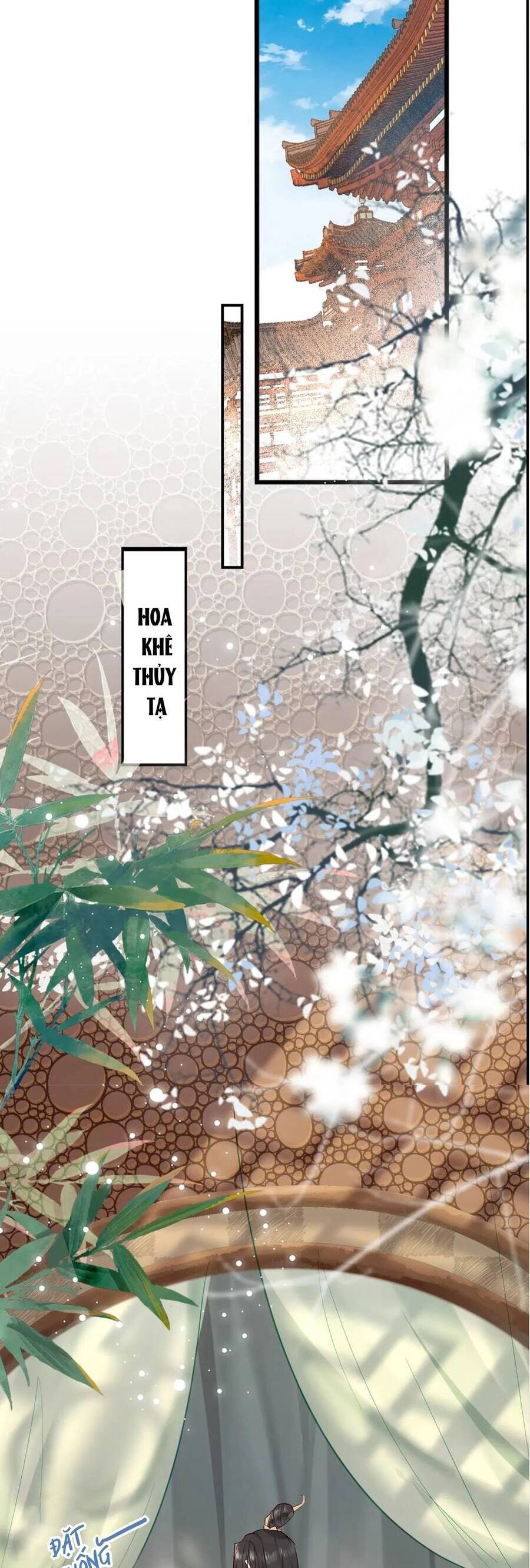 Xuyên Sách: Nghịch Đồ Lại Muốn Ức Hiếp Sư Phụ Chapter 3 - 3