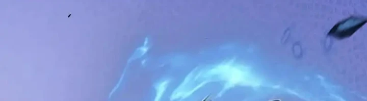 Thức Tỉnh Thiên Phú Thần Thoại, Ta Nhất Kiếm Trảm Thần Chapter 15 - 106