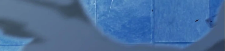 Thức Tỉnh Thiên Phú Thần Thoại, Ta Nhất Kiếm Trảm Thần Chapter 24 - 57