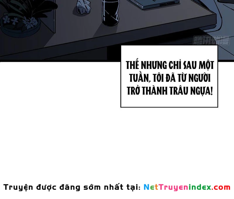 Cuộc Sống Hoàn Mỹ Của Ta Ở Tận Thế Chapter 1 - 10