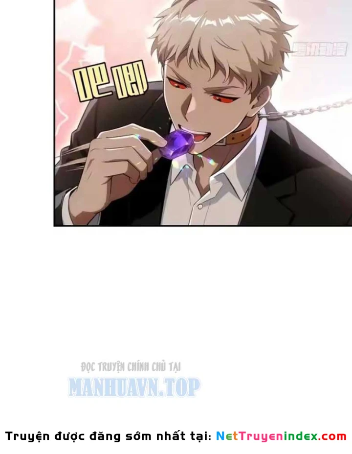 Cuộc Sống Hoàn Mỹ Của Ta Ở Tận Thế Chapter 38 - 30