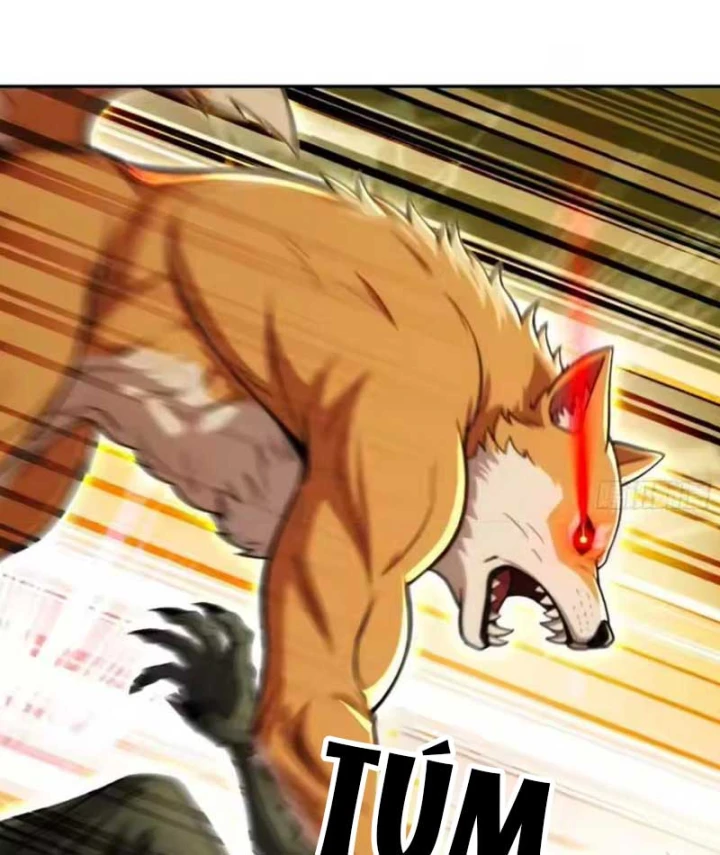 Cuộc Sống Hoàn Mỹ Của Ta Ở Tận Thế Chapter 38 - 73