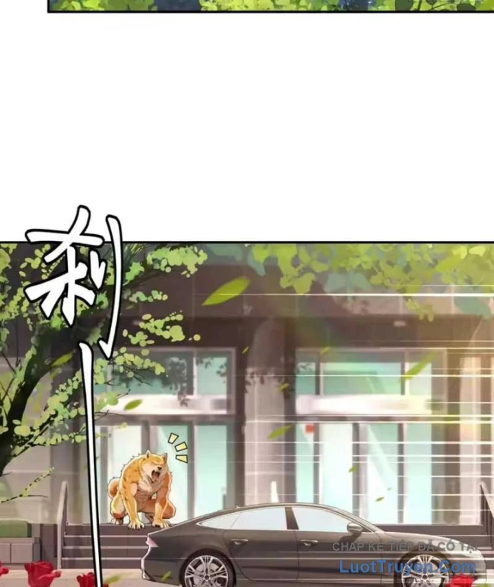 Cuộc Sống Hoàn Mỹ Của Ta Ở Tận Thế Chapter 44 - 49