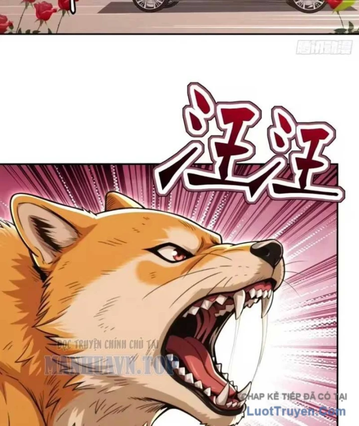 Cuộc Sống Hoàn Mỹ Của Ta Ở Tận Thế Chapter 44 - 50