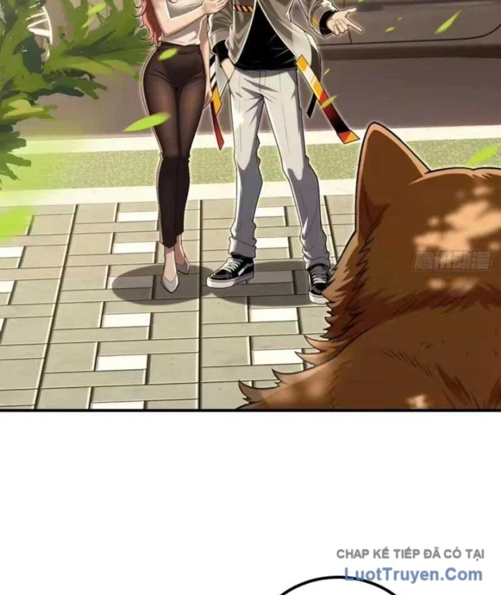 Cuộc Sống Hoàn Mỹ Của Ta Ở Tận Thế Chapter 44 - 52