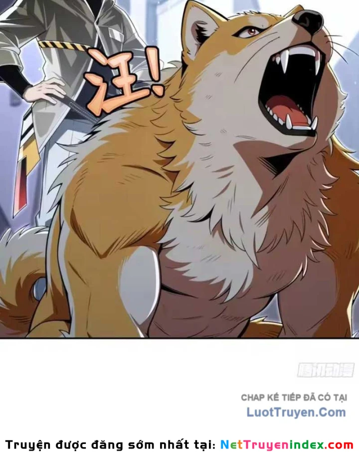 Cuộc Sống Hoàn Mỹ Của Ta Ở Tận Thế Chapter 45 - 22