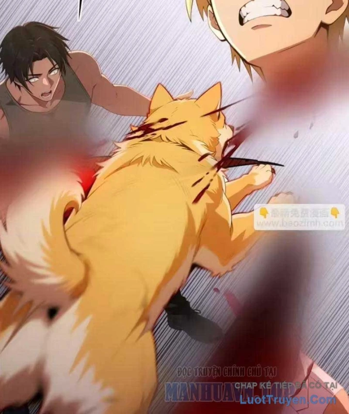 Cuộc Sống Hoàn Mỹ Của Ta Ở Tận Thế Chapter 45 - 72