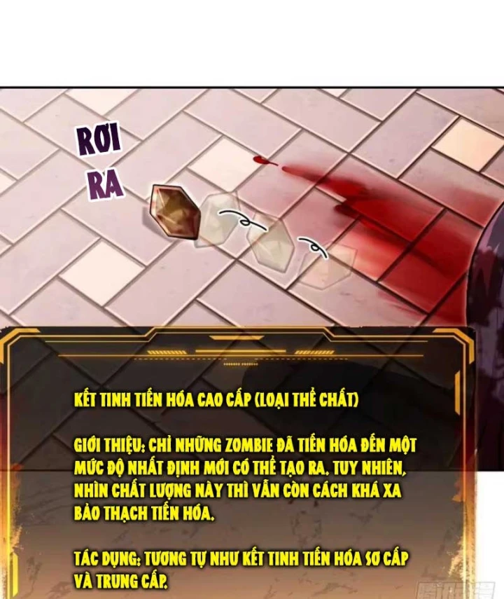 Cuộc Sống Hoàn Mỹ Của Ta Ở Tận Thế Chapter 56 - 26