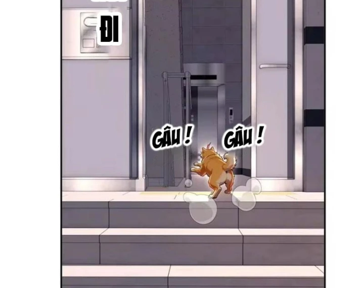 Cuộc Sống Hoàn Mỹ Của Ta Ở Tận Thế Chapter 62 - 54