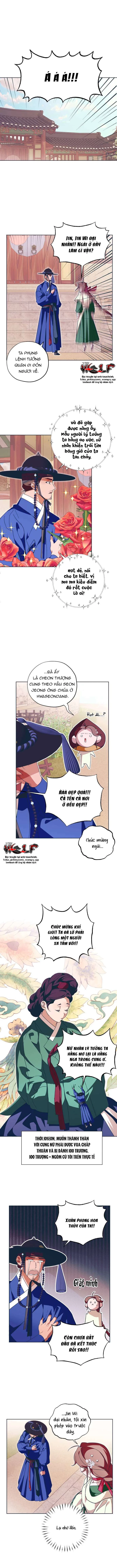 Dabi, Hương Vị Ngây Ngất Chapter 32 - 11